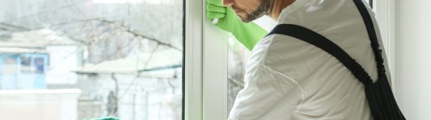 Varför regelbunden fönsterputsning är viktig för ditt hem
